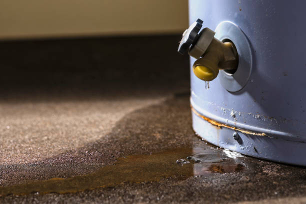 Best Water damage restoration near me  in Sisco Heights, WA