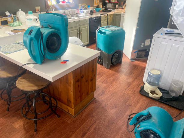 Best Water damage cleanup near me  in Sisco Heights, WA