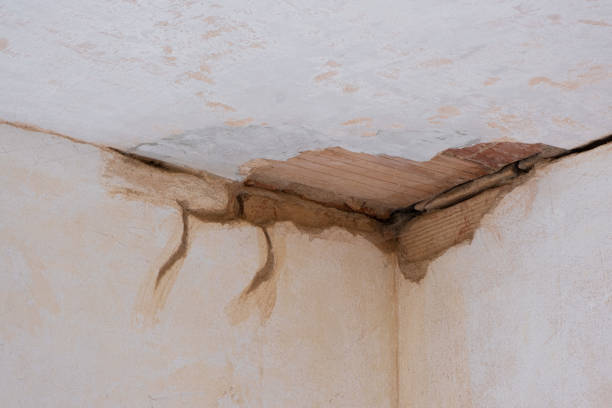 Best Fire Damage Restoration  in Sisco Heights, WA