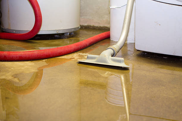 Best Local water damage restoration  in Sisco Heights, WA