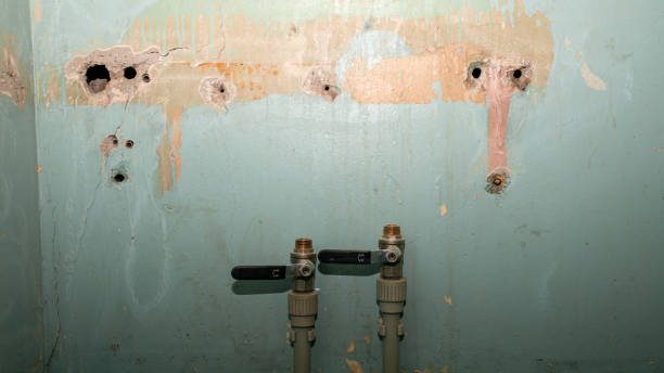 Water damage restoration mold remediation in WA