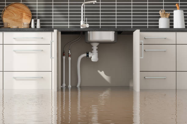 Best Mold removal after water damage  in Sisco Heights, WA