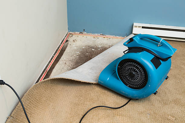 Best Carpet water damage restoration  in Sisco Heights, WA